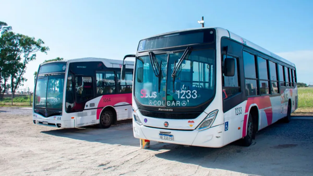 Amplían el recorrido de las líneas 31 y 14 para mejorar la conectividad en zona sur
