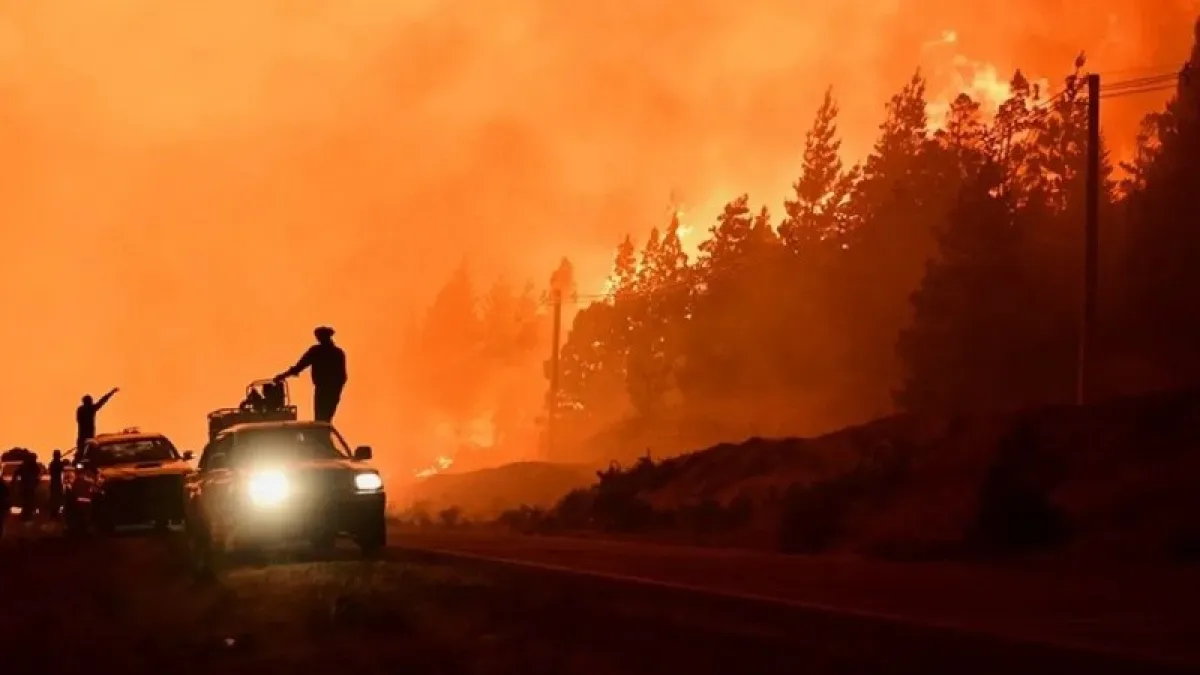 Los incendios no dan tregua en Chubut: consumieron más de 35 mil hectáreas