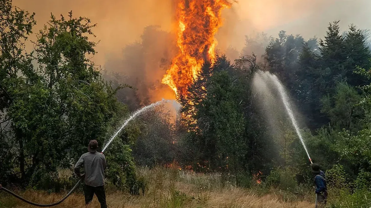 Los incendios en la Patagonia consumieron más de 45 mil hectáreas