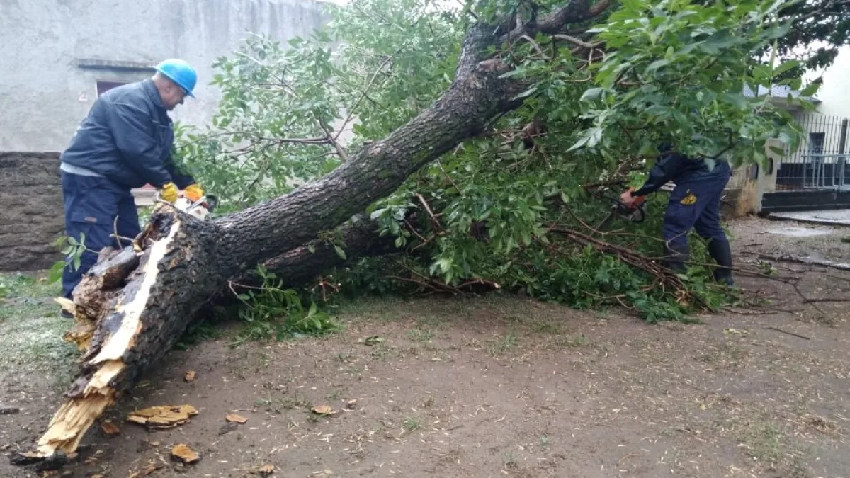 La Provincia brinda asistencia por el temporal en el sur y sudeste cordobés