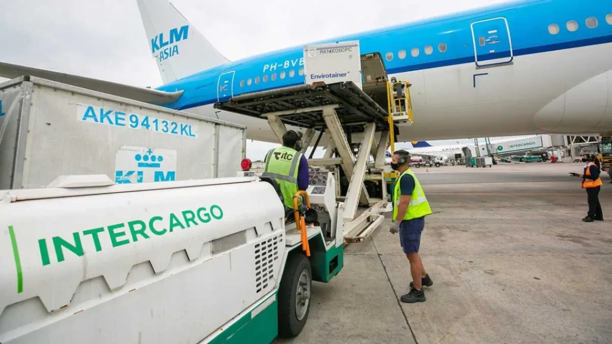 El Gobierno avanza con la privatización de Intercargo: los ejes de la licitación