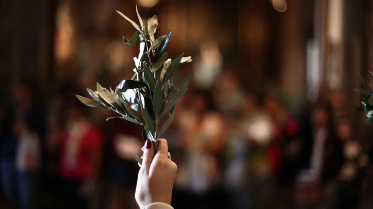 Domingo de Ramos: origen, significado y cómo se celebra en Córdoba