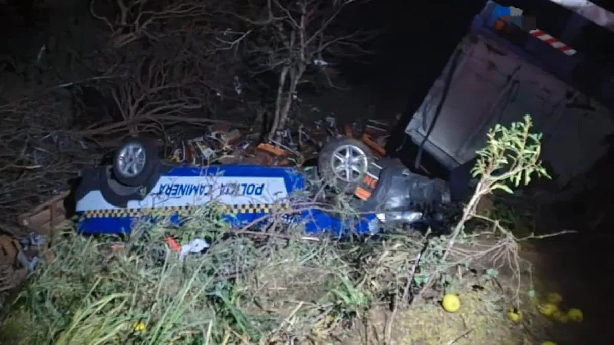 Siniestro fatal: un camión chocó contra un control policial en Ruta 9 norte y murió una mujer