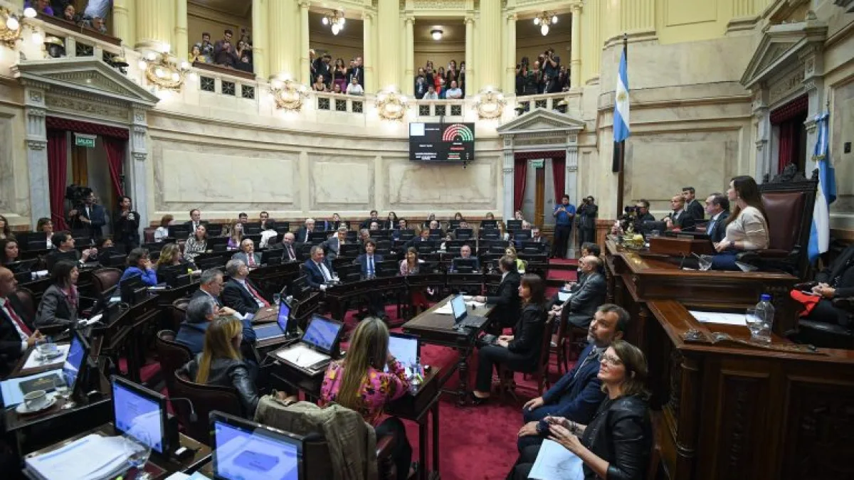 El Senado abre el debate de la reforma electoral con foco en la eliminación de las PASO