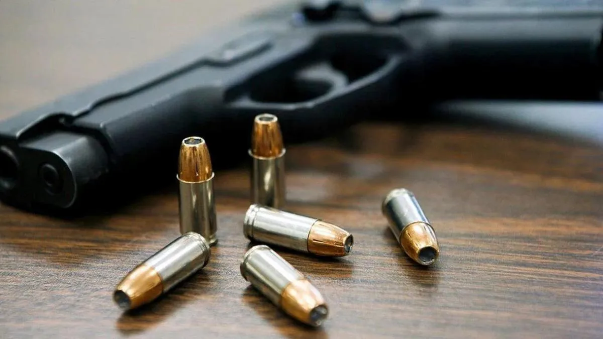 El Senado aprobó la ley de regularización y entrega voluntaria de armas