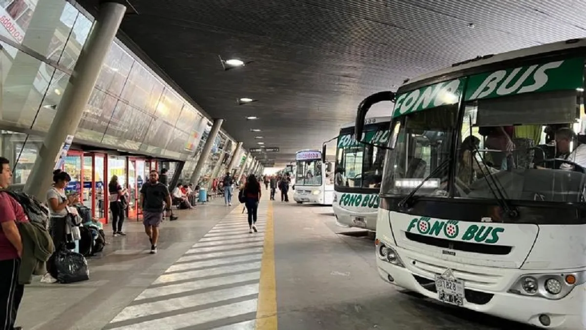 Transporte interurbano: suspenden los viajes gratuitos desde el 22 de mayo