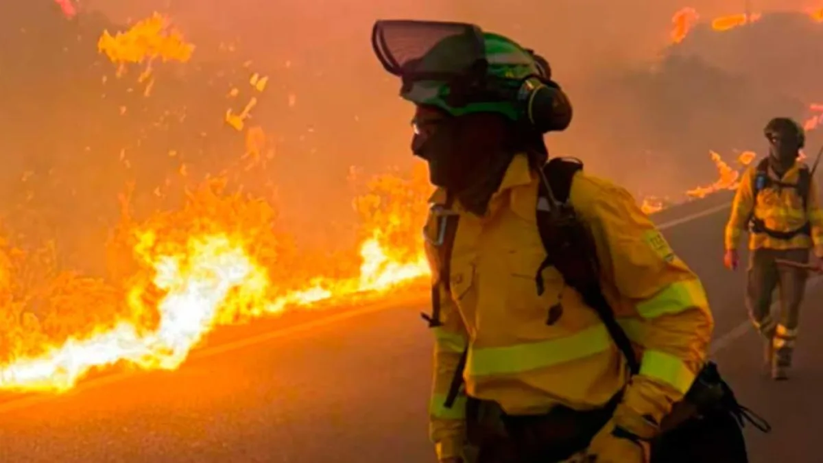 Incendio forestal en España: al menos 12 muertos y 23 personas desaparecidas