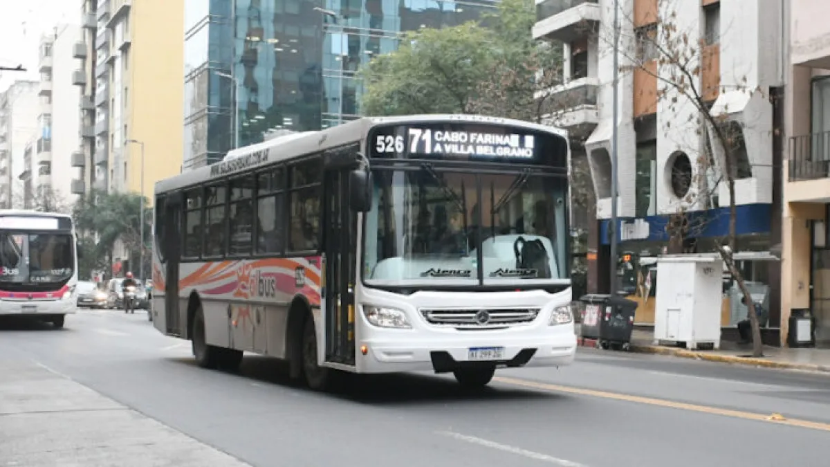 Desde este sábado rigen nuevos recorridos en las líneas del corredor 7