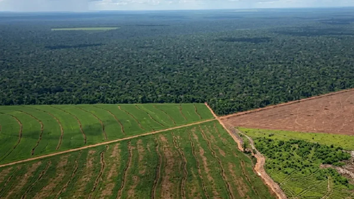 El Gobierno desistió de cambiar la ley de Tierras
