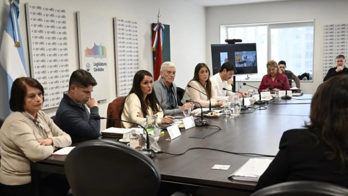 Comenzaron a tratar un proyecto para establecer la "Ley Fede" sobre autismo en Córdoba