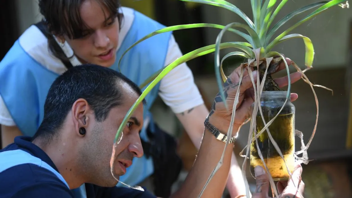 Continúa el primer monitoreo aédico de la temporada para prevenir el dengue